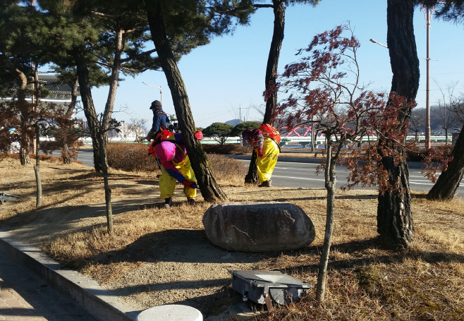 예방나무주사사업