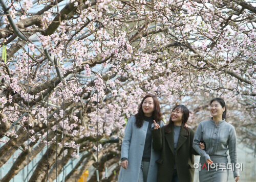 신촌복사꽃수정2