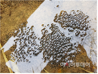 환경부