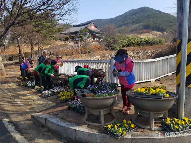 180312(창녕읍 자하곡입구 봄꽃식재)