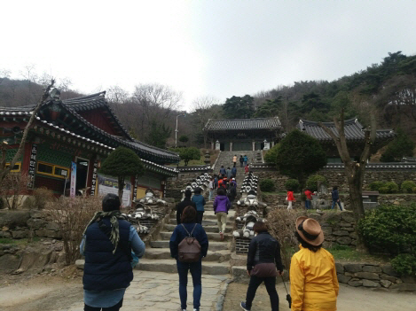 안성 시티투어 운영