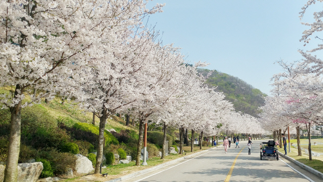 여행 브리핑/ 비발디파크