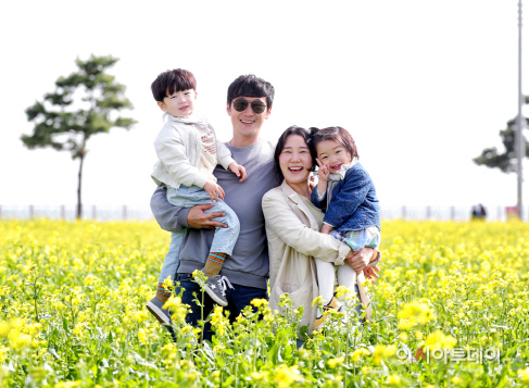 서산 간월도 유채꽃