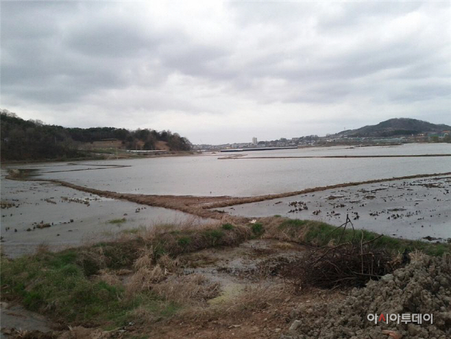 마도면 슬항리 일대 농경지 모습