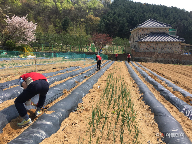 롯데건설