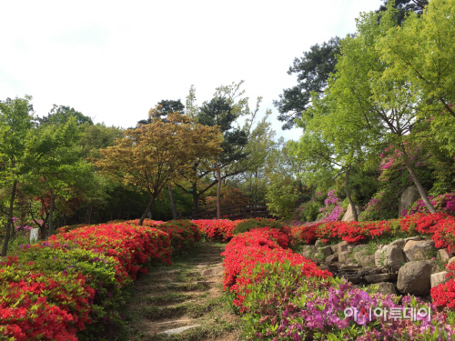 30일(용봉산 자연휴양림 꽃길 1)