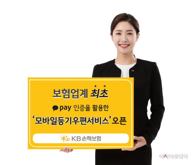 카카오페이 kb손보