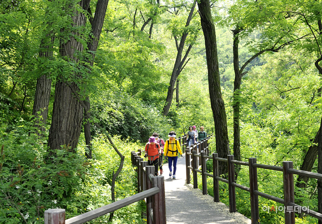 서대문구 안산 자락길 (6)