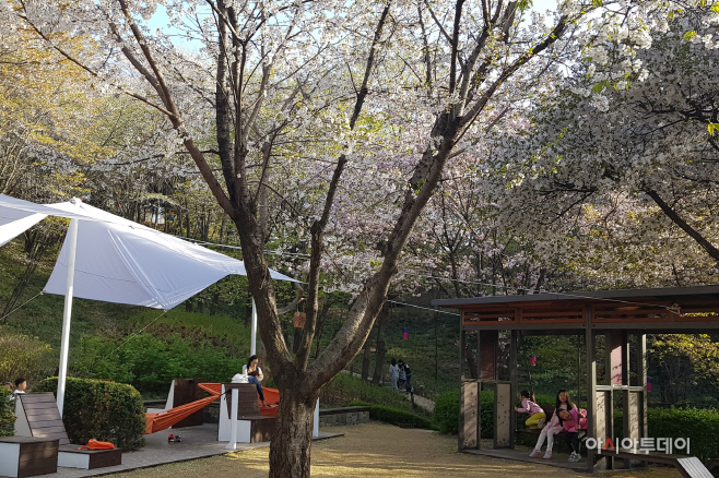 KakaoTalk_20180503_165019030