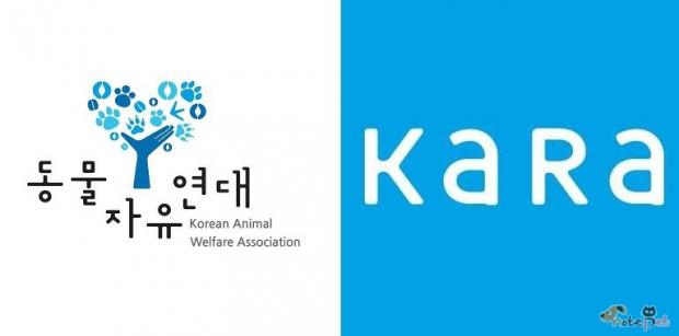 노트펫][산업/정책] 동물보호단체들은 한 해 기부금 얼마나 받나 - 아시아투데이