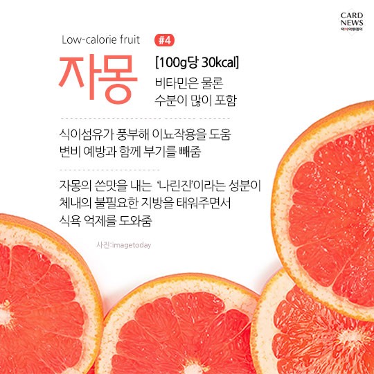 카드 뉴스 이미지