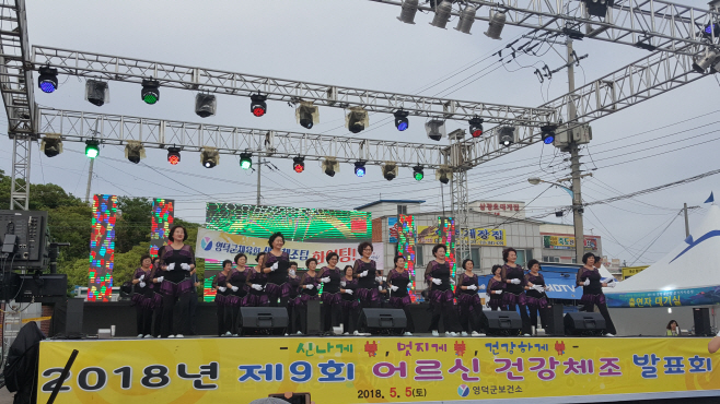 제9회 어르신 건강체조 발표회 장면