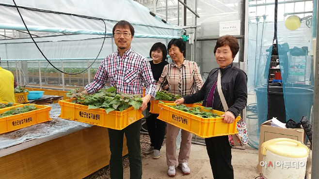 예산군농업기술센터, 조직배양 우량 고구마 묘 공급받는 농민들
