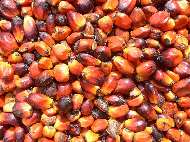 800px-Palm_oil_production_in_Jukwa_Village,_Ghana-04