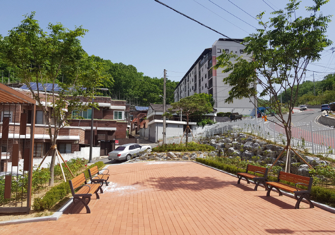 0529 안동시, 색깔 있는 안기 장미공원 조성