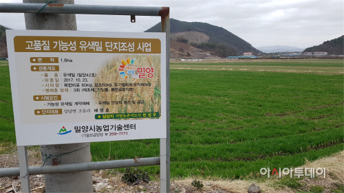 아리흑생산단지