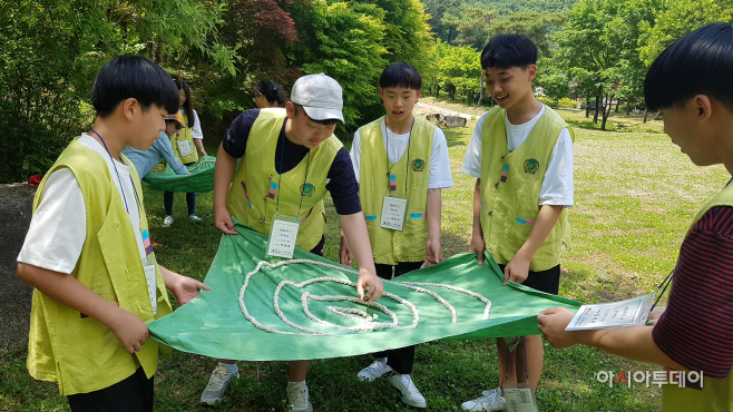 산림문화체험 중인 학생들(솔방울 굴리기)