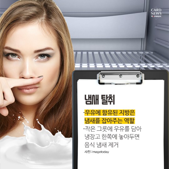 카드 뉴스 이미지