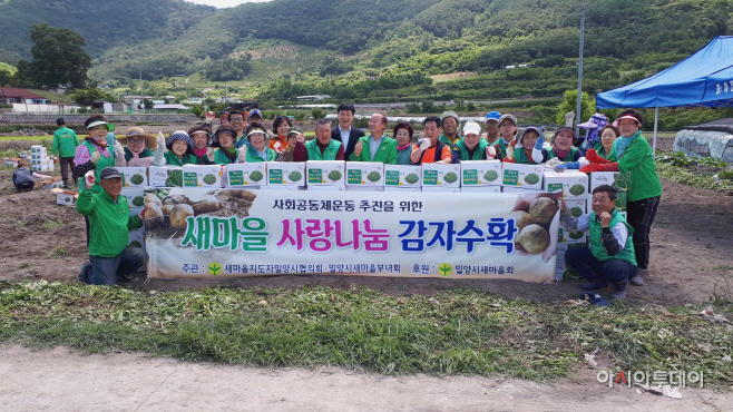 0615 밀양시새마을회 감자수확으로 함께하는 사랑나눔(1)