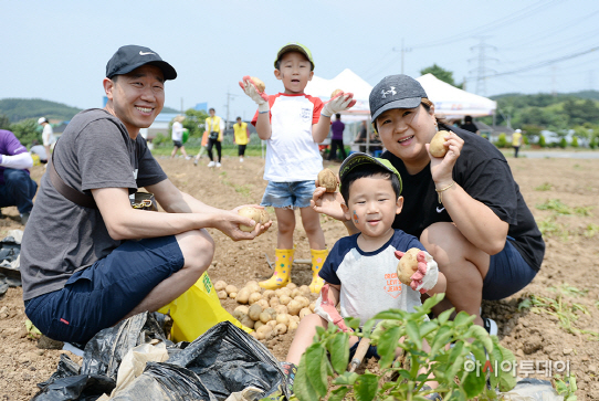 서산 팔봉산 감자축제
