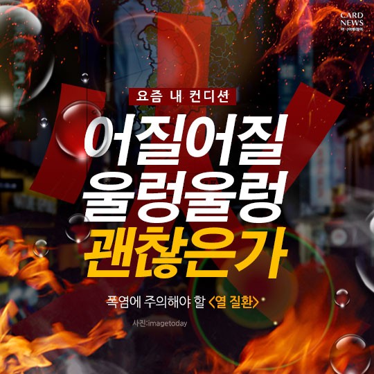 카드 뉴스 이미지