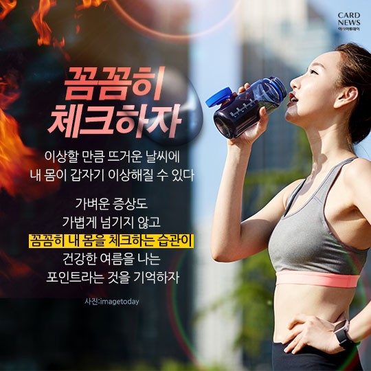 카드 뉴스 이미지