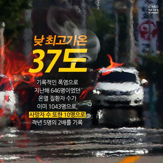카드 뉴스 이미지
