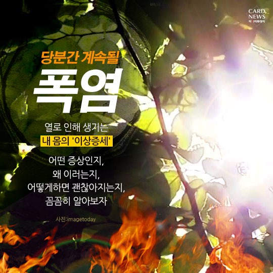 카드 뉴스 이미지