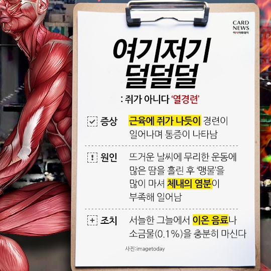 카드 뉴스 이미지