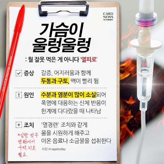 카드 뉴스 이미지