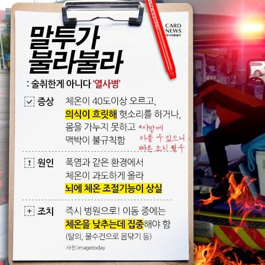 카드 뉴스 이미지