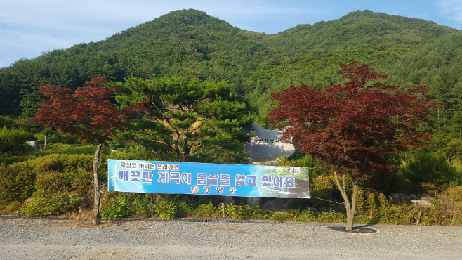 1-2. 사진(영양군, 하계휴가철 쓰레기 관리대책)