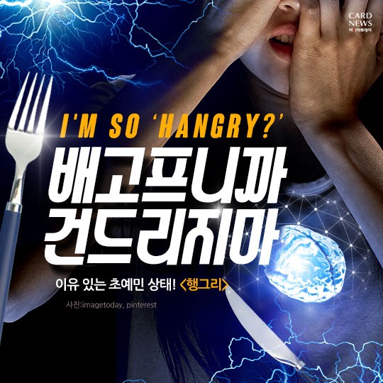 카드 뉴스 이미지