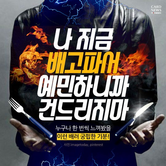 카드 뉴스 이미지