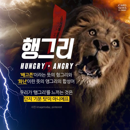 카드 뉴스 이미지
