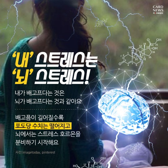 카드 뉴스 이미지
