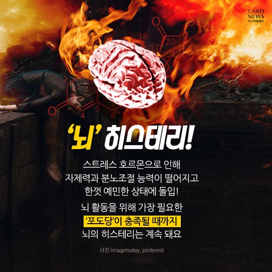 카드 뉴스 이미지