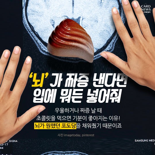 카드 뉴스 이미지