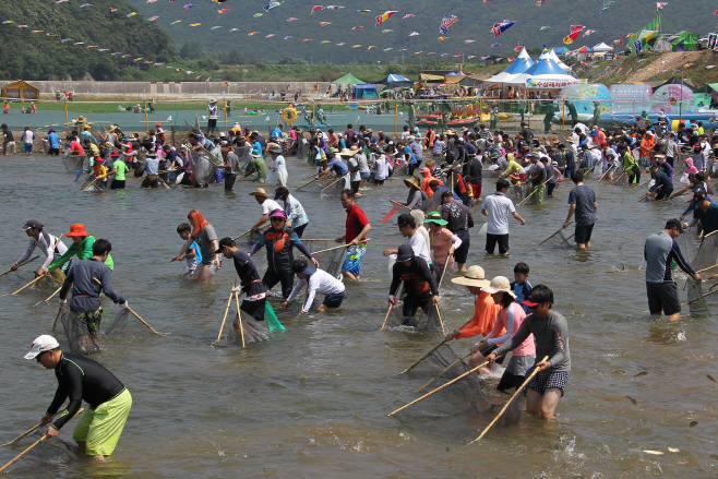영덕황금은어축제중 반두잡이 체험 자료사진(2015)