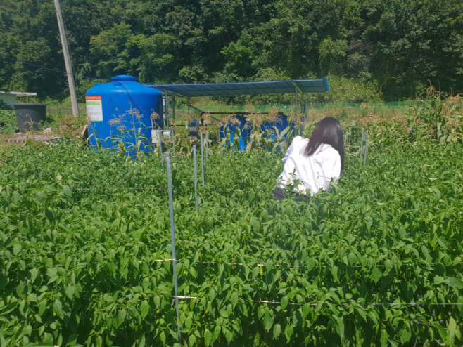 4-2. 사진(관수시설)