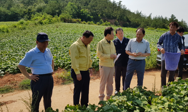 (20180809)(보도자료) 농협금융지주 김광수 회장 휴가 중에