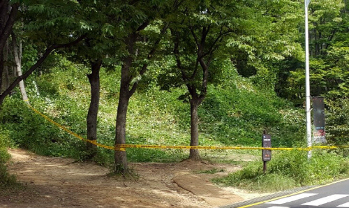 토막시신 발견된 서울대공원 주차장 인근 수풀