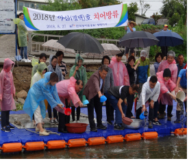 농어촌공사 평택지사, 평택호 치어 방류 행사 개최