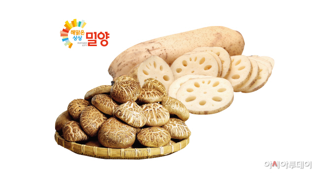 0911 전국 GS수퍼마켓,“밀양 농산물 산지 직송전” 열려!