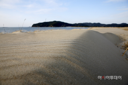 태안볼거리