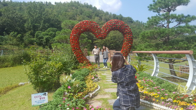 영덕군 산림생태문화체험공원(사랑의 장미하트)