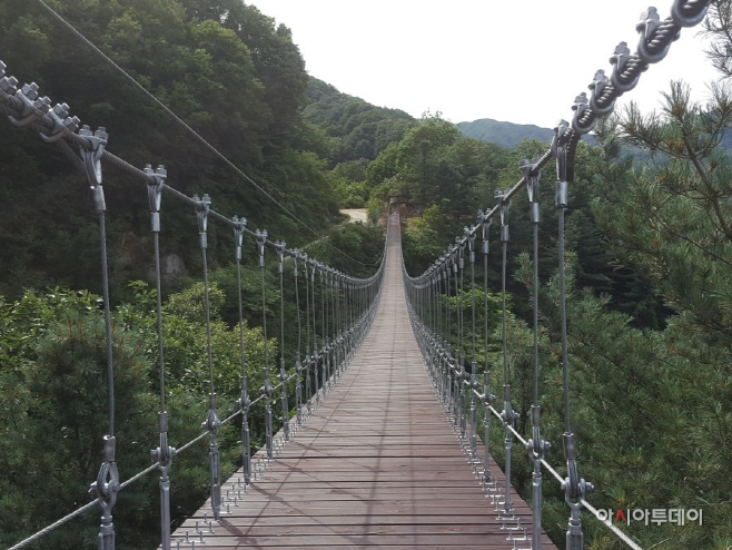 가평군짚라인출렁다리
