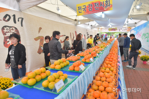 2017축제감전시(6)
