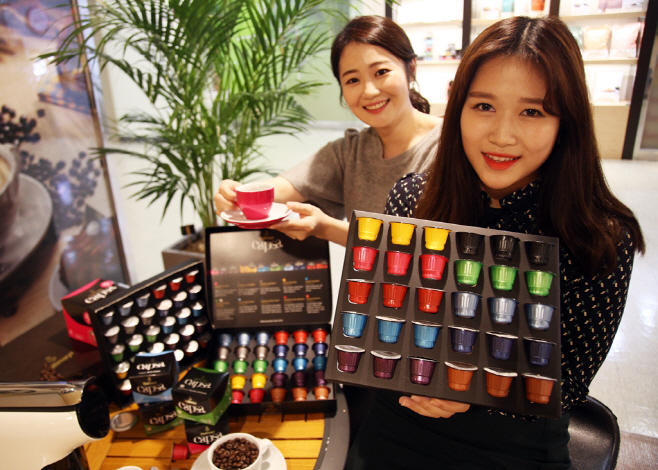 달마이어  컬렉션3