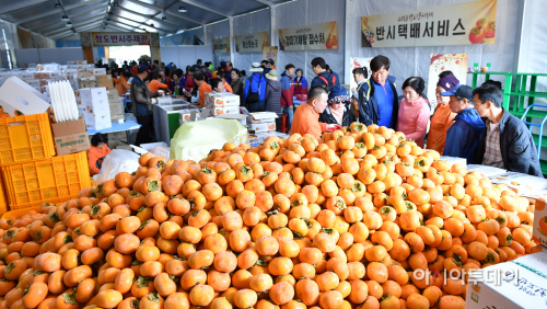 2018 청도반시축제 및 코아페 (4)